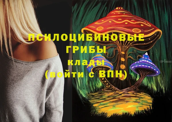 МДМА Арсеньев