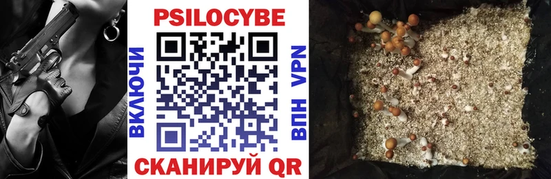 купить наркотик  Фролово  Галлюциногенные грибы Psilocybine cubensis 